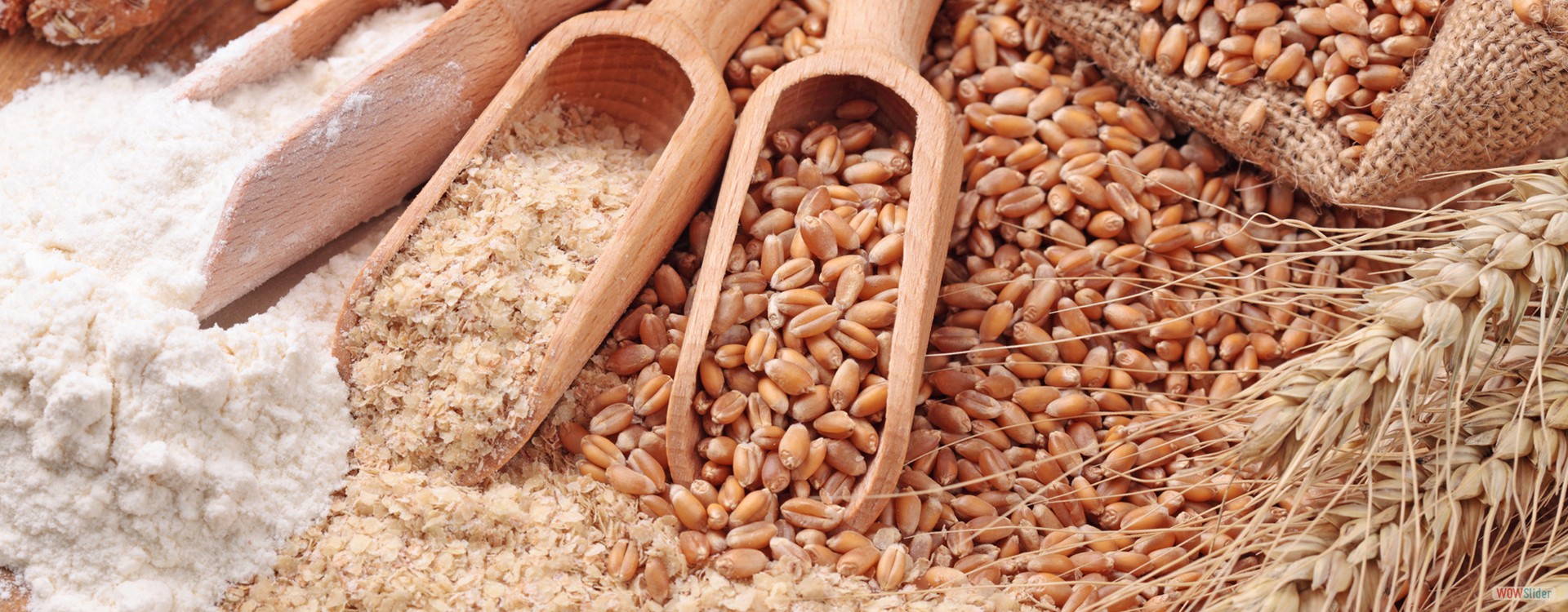 Flour Mill Manufacturers in Ahmedabad | Atta Maker Manufacturers in Ahmedabad | Gharghanti Manufacturers in Ahmedabad