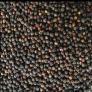atta chakki price in ahmedabad, atta chakki manufacturers in Gujarat